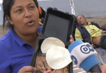 Caravan Migrant Famous For Complaining About Mexican Food Arrested For Violent Crime In Dallas